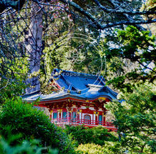 Load image into Gallery viewer, A Temple in the Trees