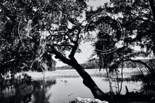 Load image into Gallery viewer, Carolina Christmas