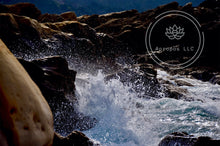 Load image into Gallery viewer, Foamy Day