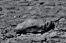 Load image into Gallery viewer, Iceberg Ahead