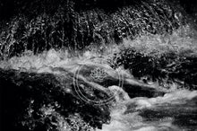 Load image into Gallery viewer, Icy Rush