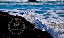 Load image into Gallery viewer, Little Spume