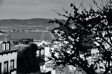 Load image into Gallery viewer, Looking Over Lombard