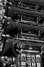 Load image into Gallery viewer, Pagoda Polka Dots