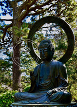 Load image into Gallery viewer, Peace to All