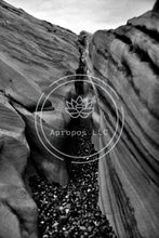 Load image into Gallery viewer, Rock Divided Back and White