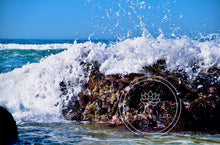 Load image into Gallery viewer, Salt Spray