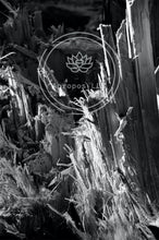 Load image into Gallery viewer, Shattered