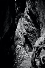 Load image into Gallery viewer, Shelter from the Snow