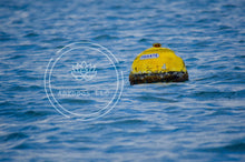 Load image into Gallery viewer, Solitude