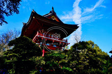 Load image into Gallery viewer, Standing Tall