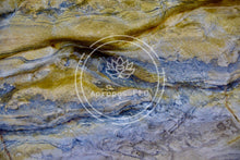 Load image into Gallery viewer, Stone Moray