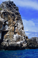 Load image into Gallery viewer, Stone Stallion