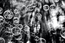 Load image into Gallery viewer, Summer Snowflakes