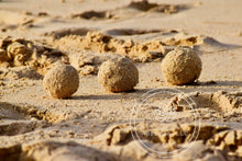 Load image into Gallery viewer, Tropical Snowballs