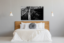 Load image into Gallery viewer, Years of Growing