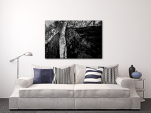 Load image into Gallery viewer, Years of Growing