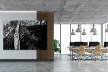 Load image into Gallery viewer, Years of Growing