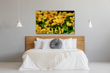 Load image into Gallery viewer, Alone in Many