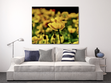 Load image into Gallery viewer, Alone in Many