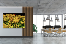 Load image into Gallery viewer, Alone in Many