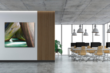 Load image into Gallery viewer, The Baths at Virgin Gorda