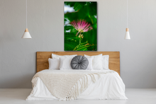 Load image into Gallery viewer, Bottomless Mimosas