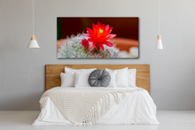 Load image into Gallery viewer, Cactus Blossom