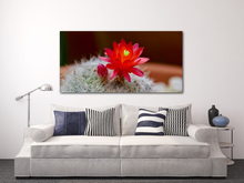 Load image into Gallery viewer, Cactus Blossom