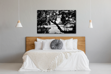 Load image into Gallery viewer, Carolina Christmas