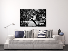 Load image into Gallery viewer, Carolina Christmas