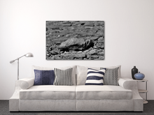 Load image into Gallery viewer, Iceberg Ahead