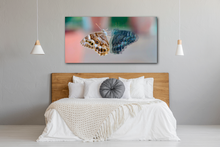 Load image into Gallery viewer, Janus