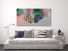 Load image into Gallery viewer, Janus