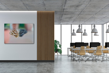 Load image into Gallery viewer, Janus