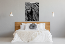 Load image into Gallery viewer, Rock Divided Back and White