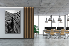 Load image into Gallery viewer, Rock Divided Back and White