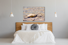 Load image into Gallery viewer, Stoney Wavelet