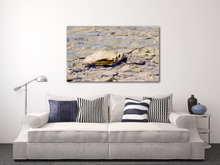 Load image into Gallery viewer, Stoney Wavelet