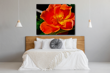 Load image into Gallery viewer, Sun-Set Flower