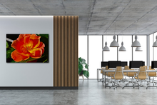 Load image into Gallery viewer, Sun-Set Flower