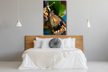 Load image into Gallery viewer, Up Close and Personal