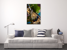 Load image into Gallery viewer, Up Close and Personal