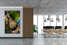 Load image into Gallery viewer, Up Close and Personal