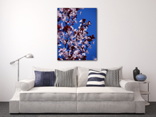 Load image into Gallery viewer, Blooming Cherries