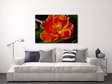 Load image into Gallery viewer, Sun-Set Flower